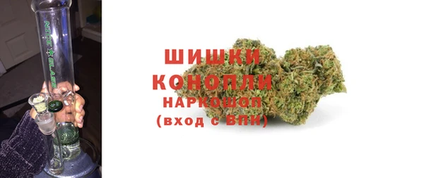 прущие грибы Пролетарск