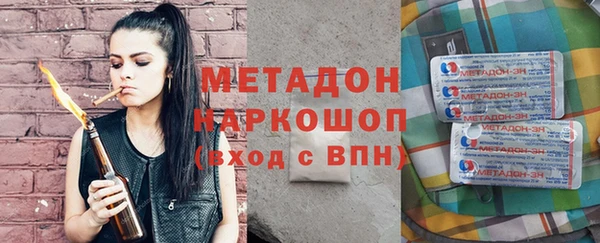 индика Алексин