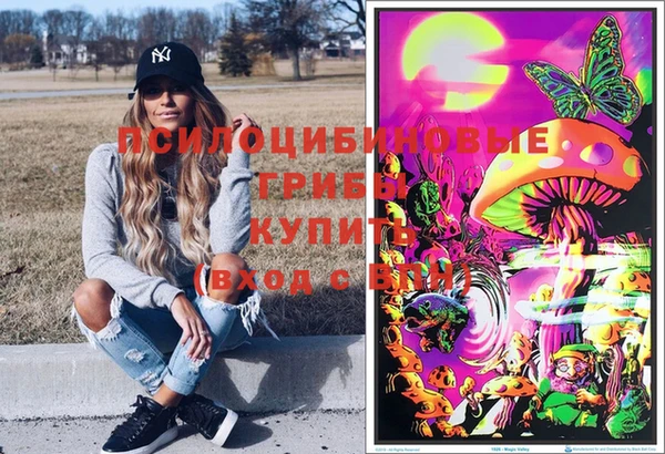 наркотики Приозерск