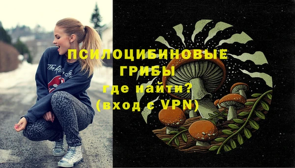 apvp Протвино
