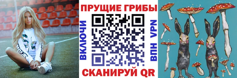 Галлюциногенные грибы Psilocybe  Болотное 